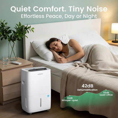 Energy-Efficient Dehumidifier – Powerful & Eco-Friendly Home Moisture Control 💧