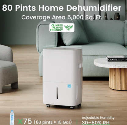 Energy-Efficient Dehumidifier – Powerful & Eco-Friendly Home Moisture Control 💧
